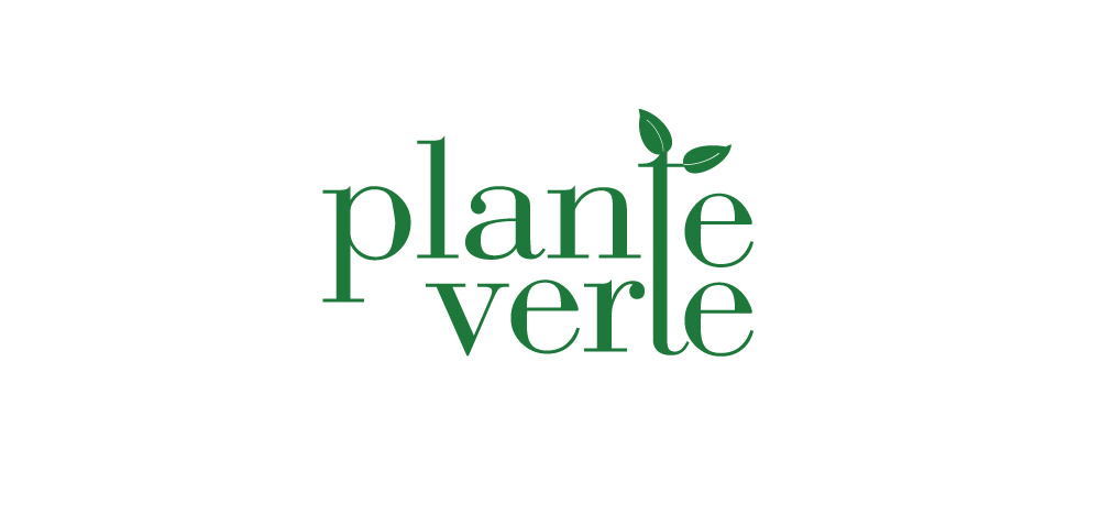 Plante Verte